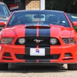 5.0 Ford Mustang GT