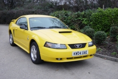 Mustang Screaming Yellow