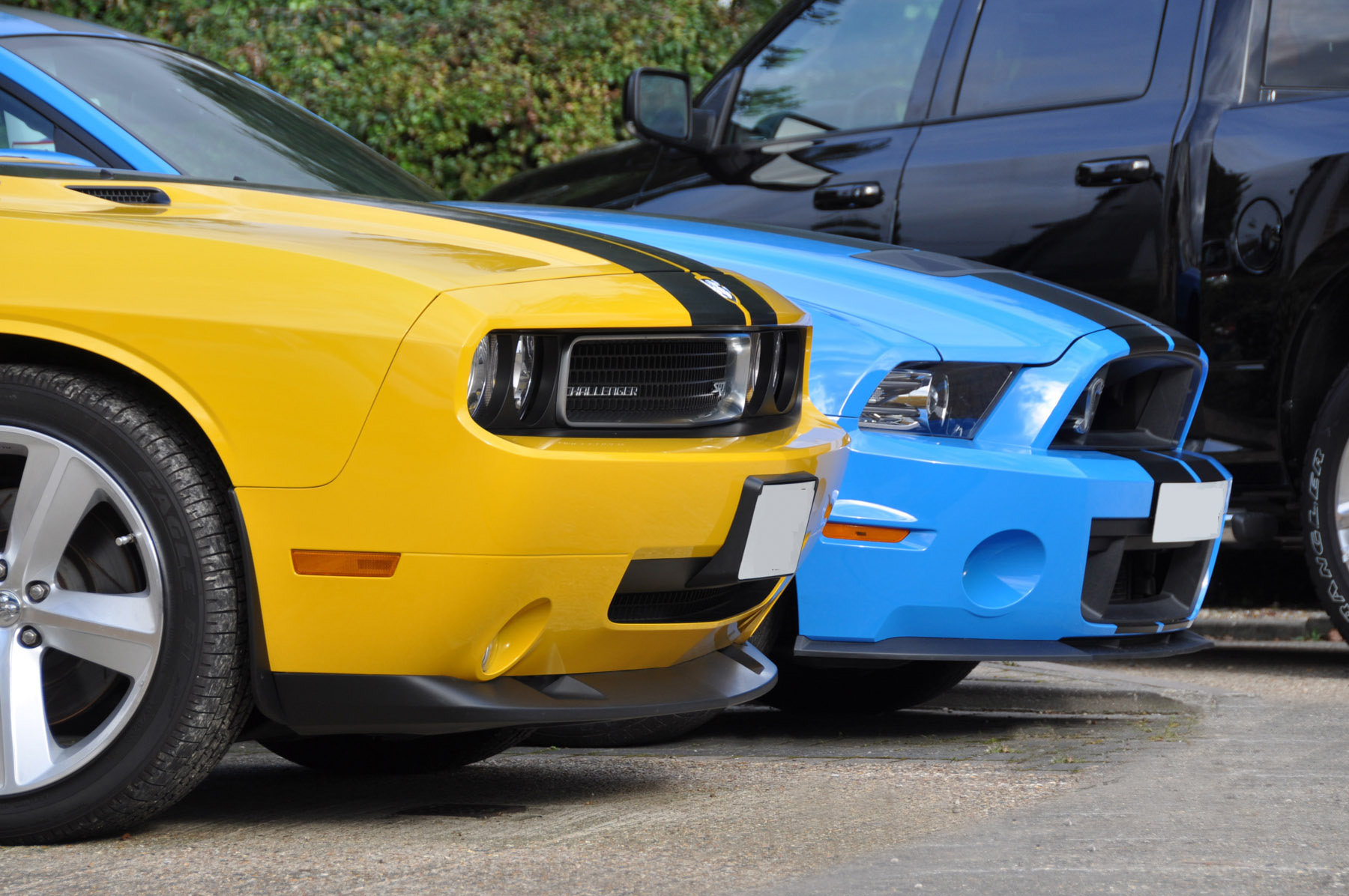 Challenger SRT8 and Mustang Shelby