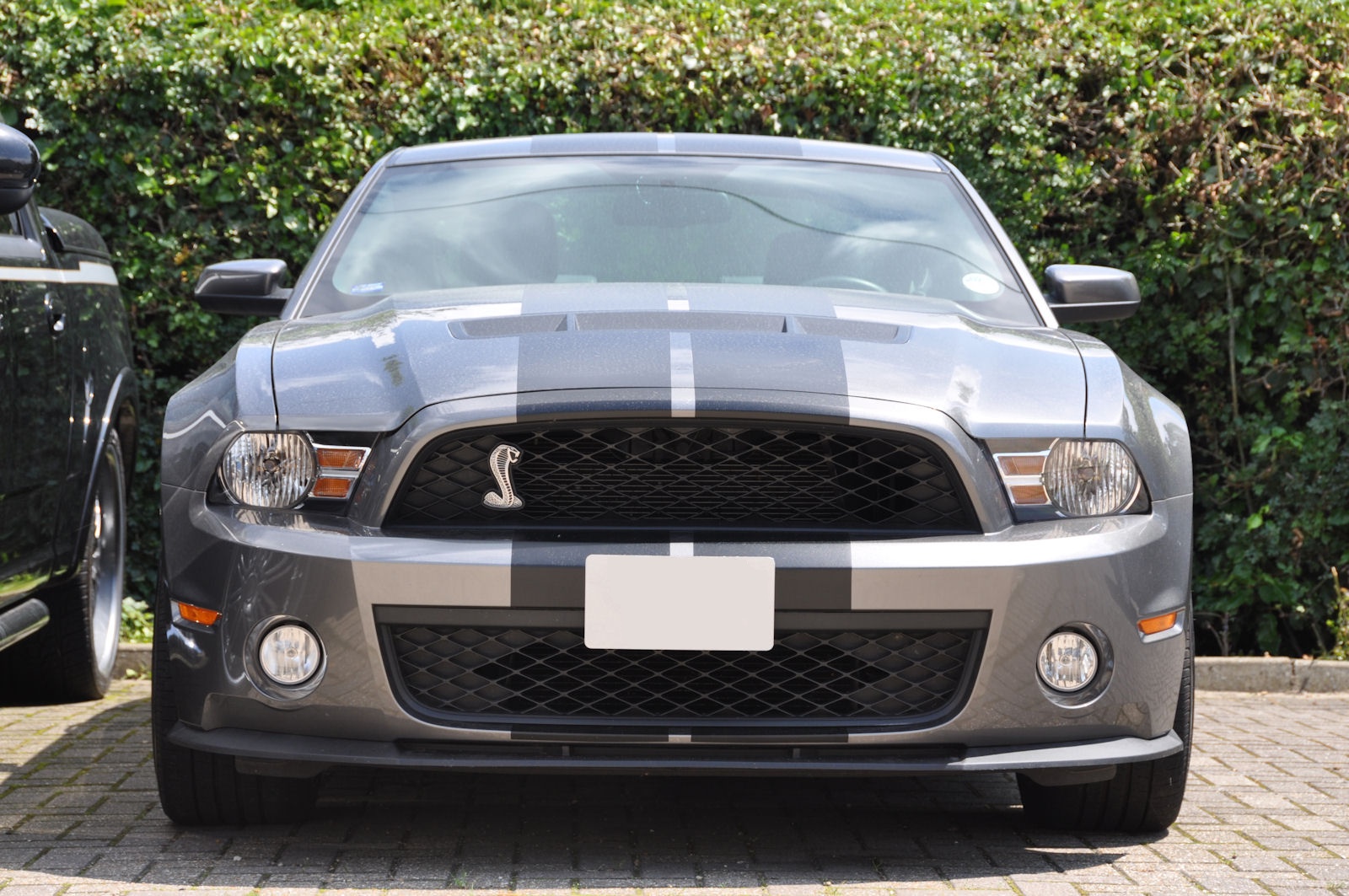 Mustang Shelby GT500 2010