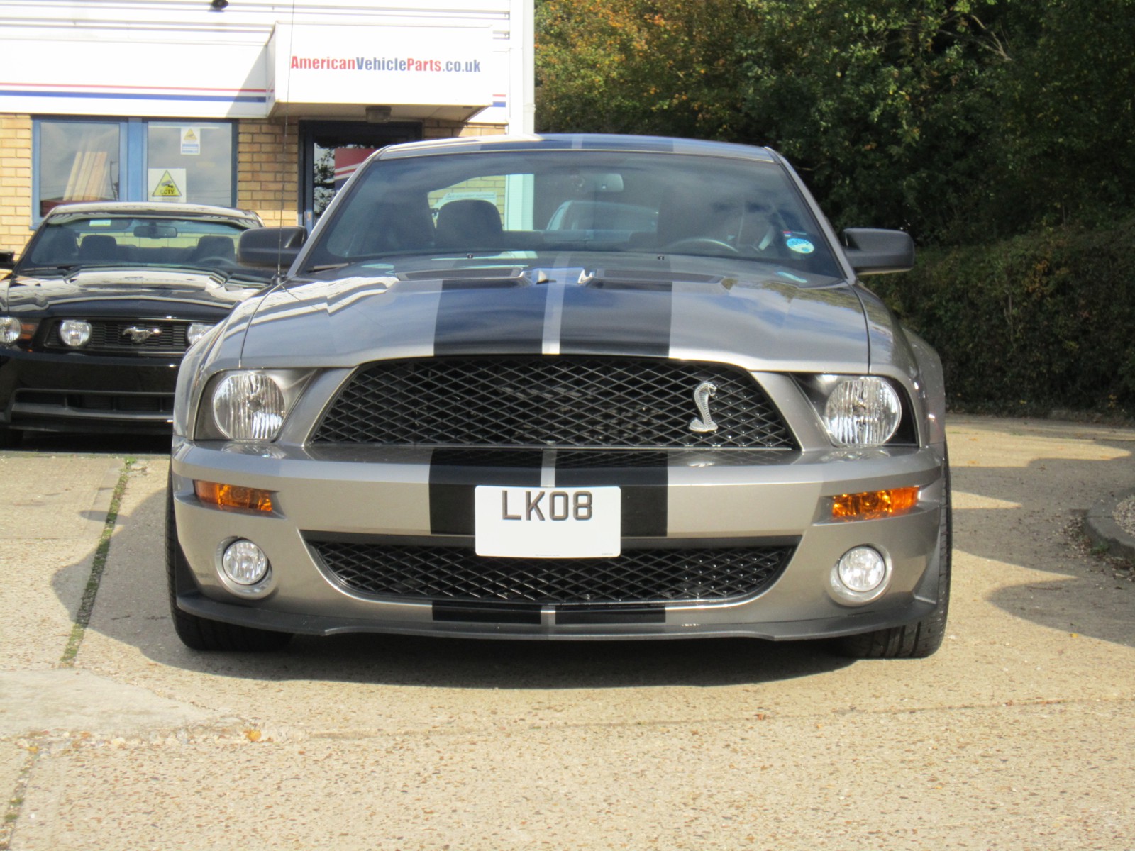 Mustang Shelby GT500 2008