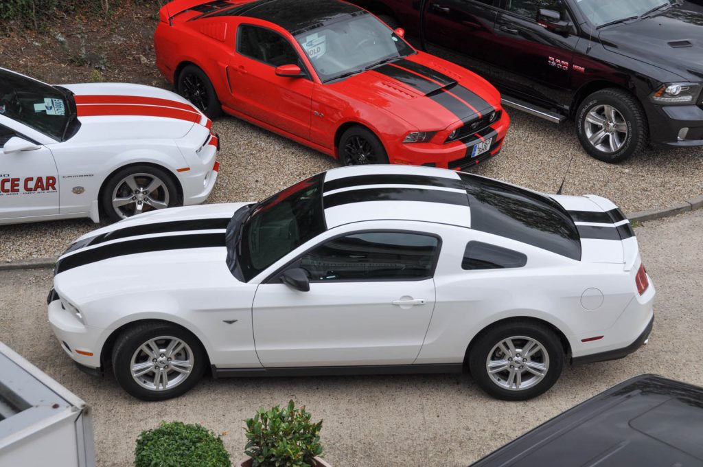 Mustang for Sale