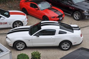 Mustang for Sale