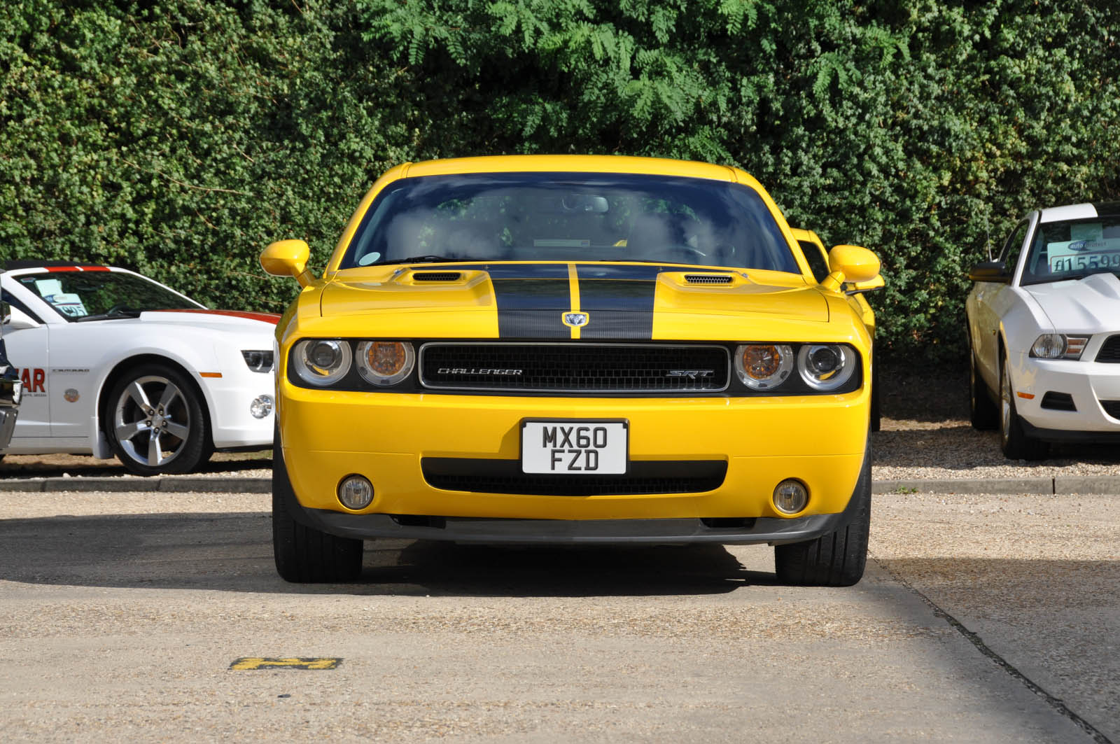 Challenger SRT8 Detonator Yellow