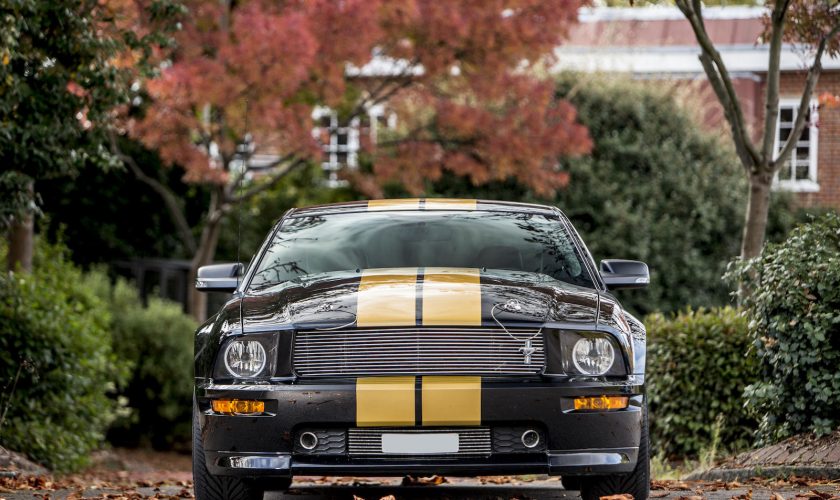 Mustang Shelby Hertz GT-H