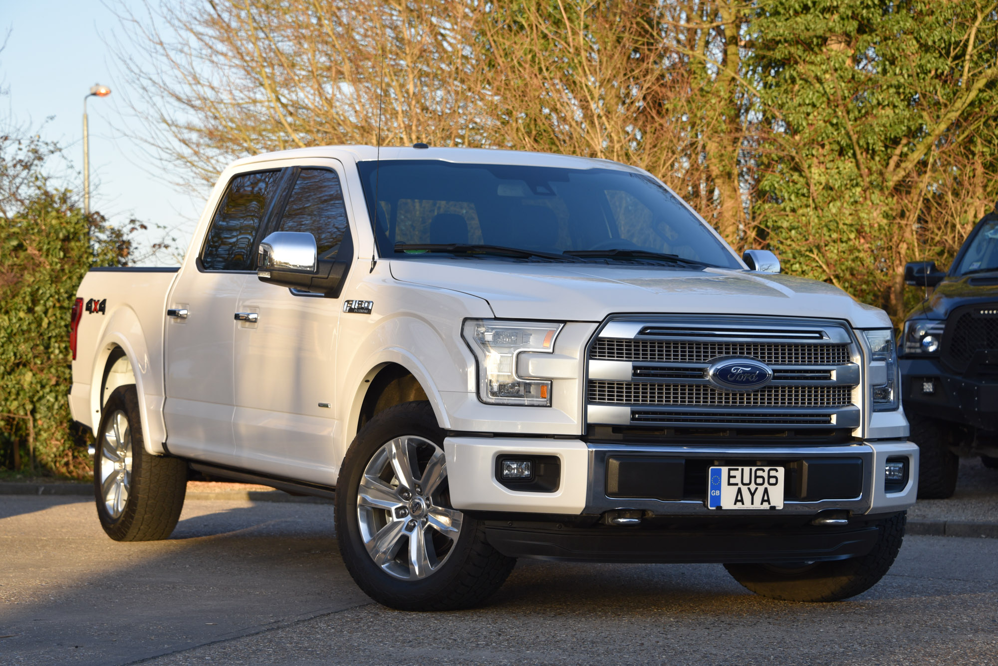 F150 PLATINUM ECOBOOST