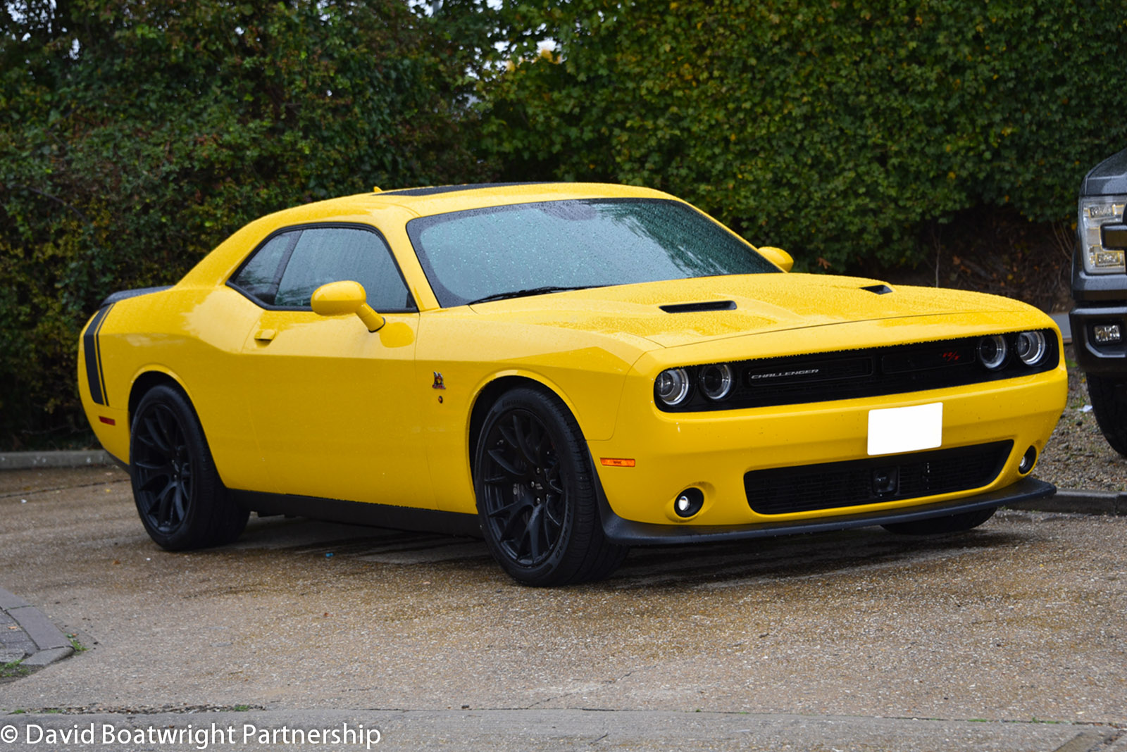 Dodge Challenger RT SCATPACK 6.4