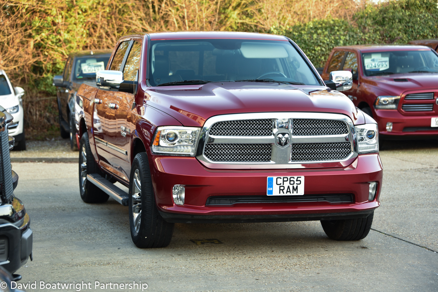 Ram Limited Deep Cherry 2015