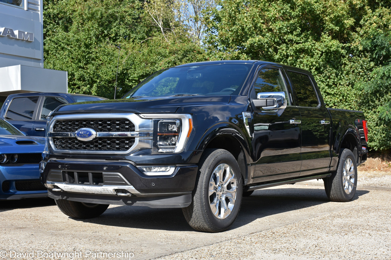 Ford F-150 Platinum Obsidian Black for sale
